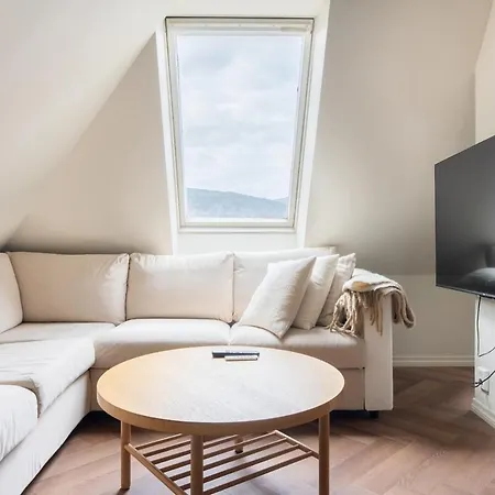 Large In Historical Street