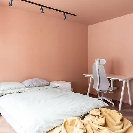 Large In Historical Street Bergen