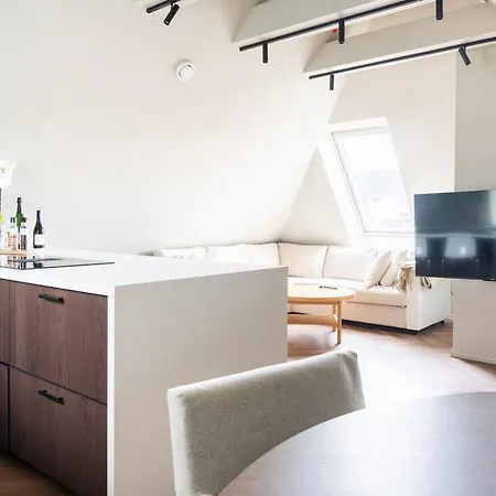 Large In Historical Street Apartment Bergen