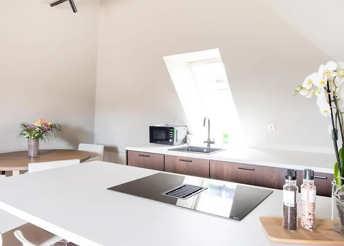 Large In Historical Street *