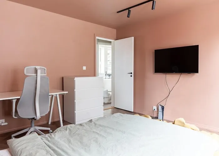 Large In Historical Street Apartment