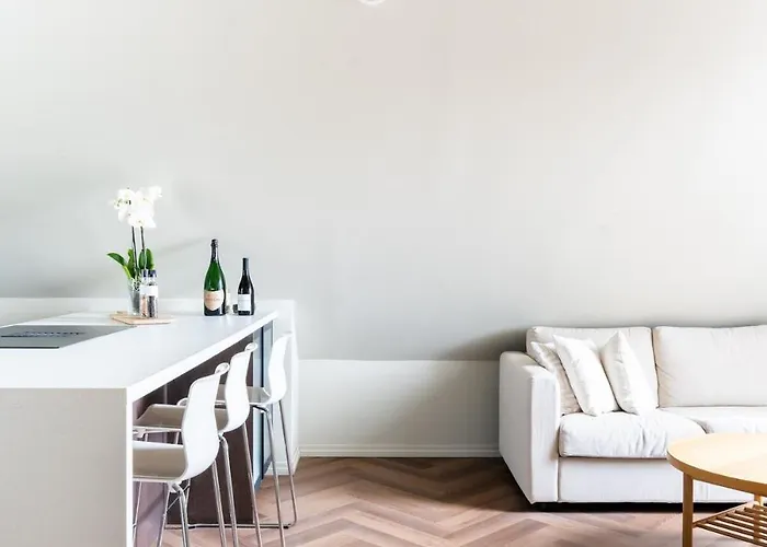 Large In Historical Street Apartment