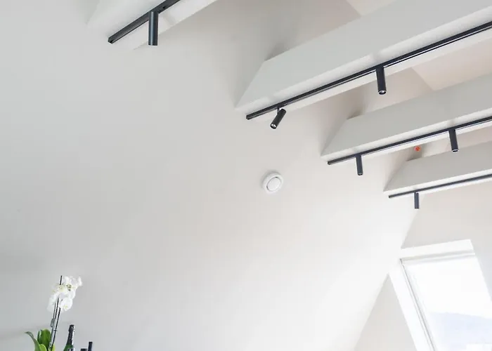 Large In Historical Street Bergen