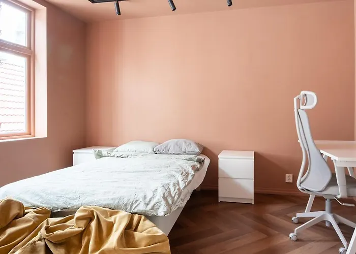 Large In Historical Street برغن